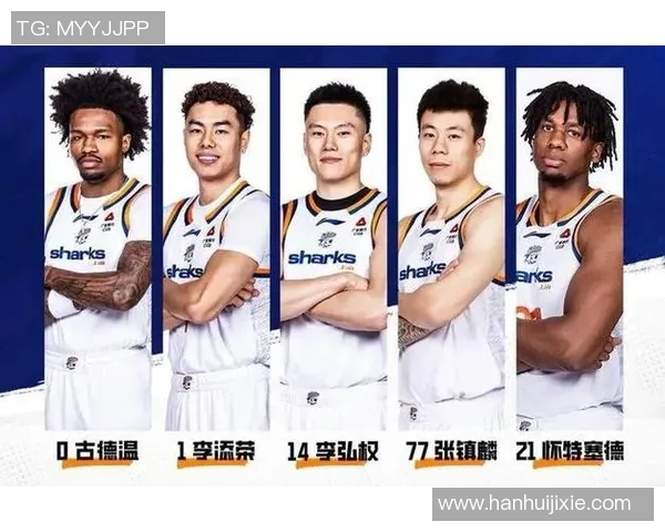 篮球明星大鲨鱼的传奇人生与赛场背后的奋斗故事